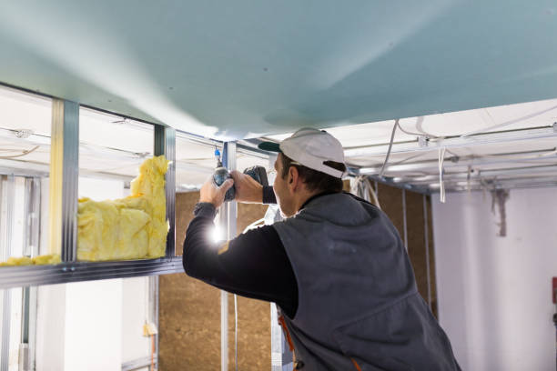 Best Affordable Insulation Services  in Webster, TX