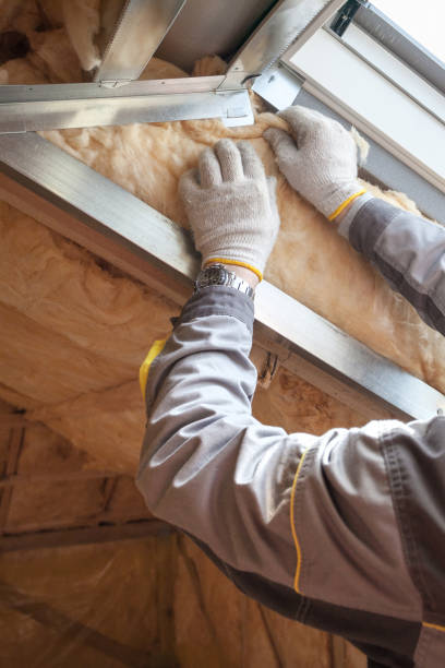 Best Local Insulation Services  in Webster, TX