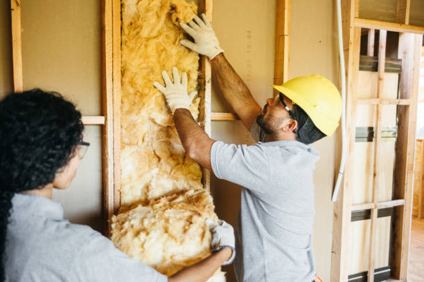 Best Insulation Replacement Services  in Webster, TX