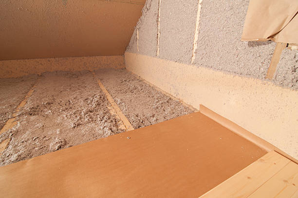 Best Residential Insulation Services  in Webster, TX