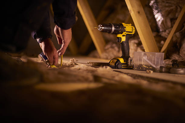 Best Cellulose Insulation  in Webster, TX